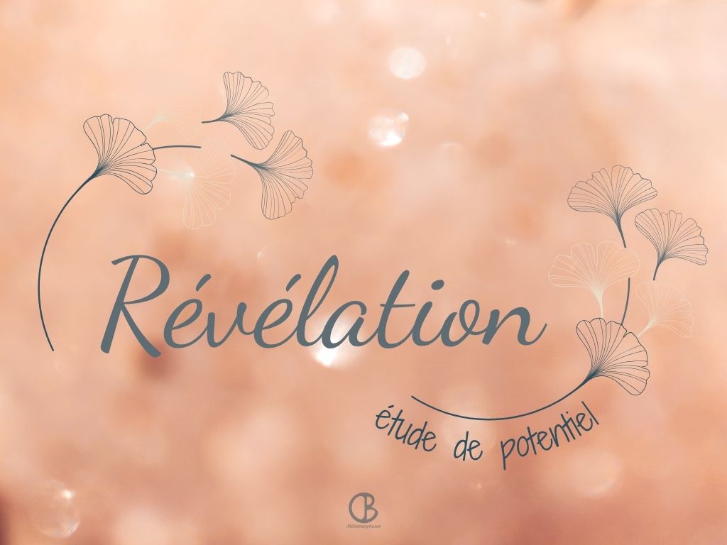 Prestation Révélation : étude de potentiel